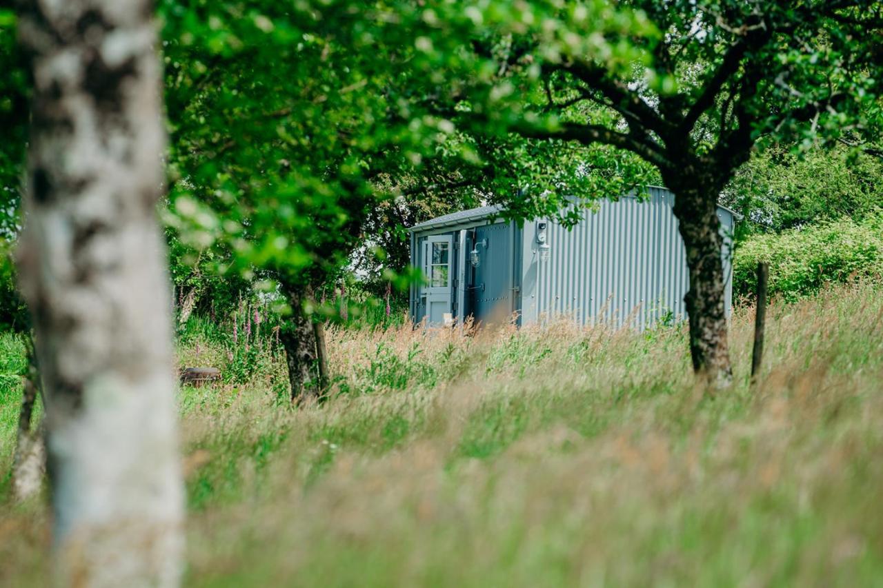 Milton Abbot Blatchford Briar - Award Winning Private Shephards Huts With Their Own Secluded Hot Tubs מראה חיצוני תמונה