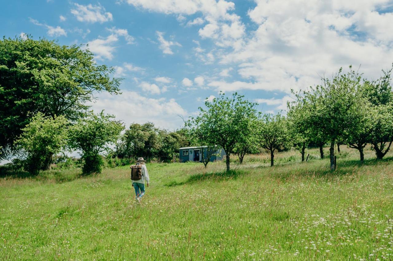 Milton Abbot Blatchford Briar - Award Winning Private Shephards Huts With Their Own Secluded Hot Tubs מראה חיצוני תמונה