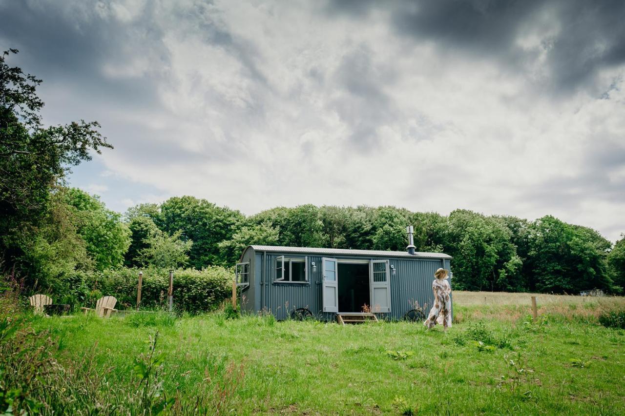 Milton Abbot Blatchford Briar - Award Winning Private Shephards Huts With Their Own Secluded Hot Tubs מראה חיצוני תמונה