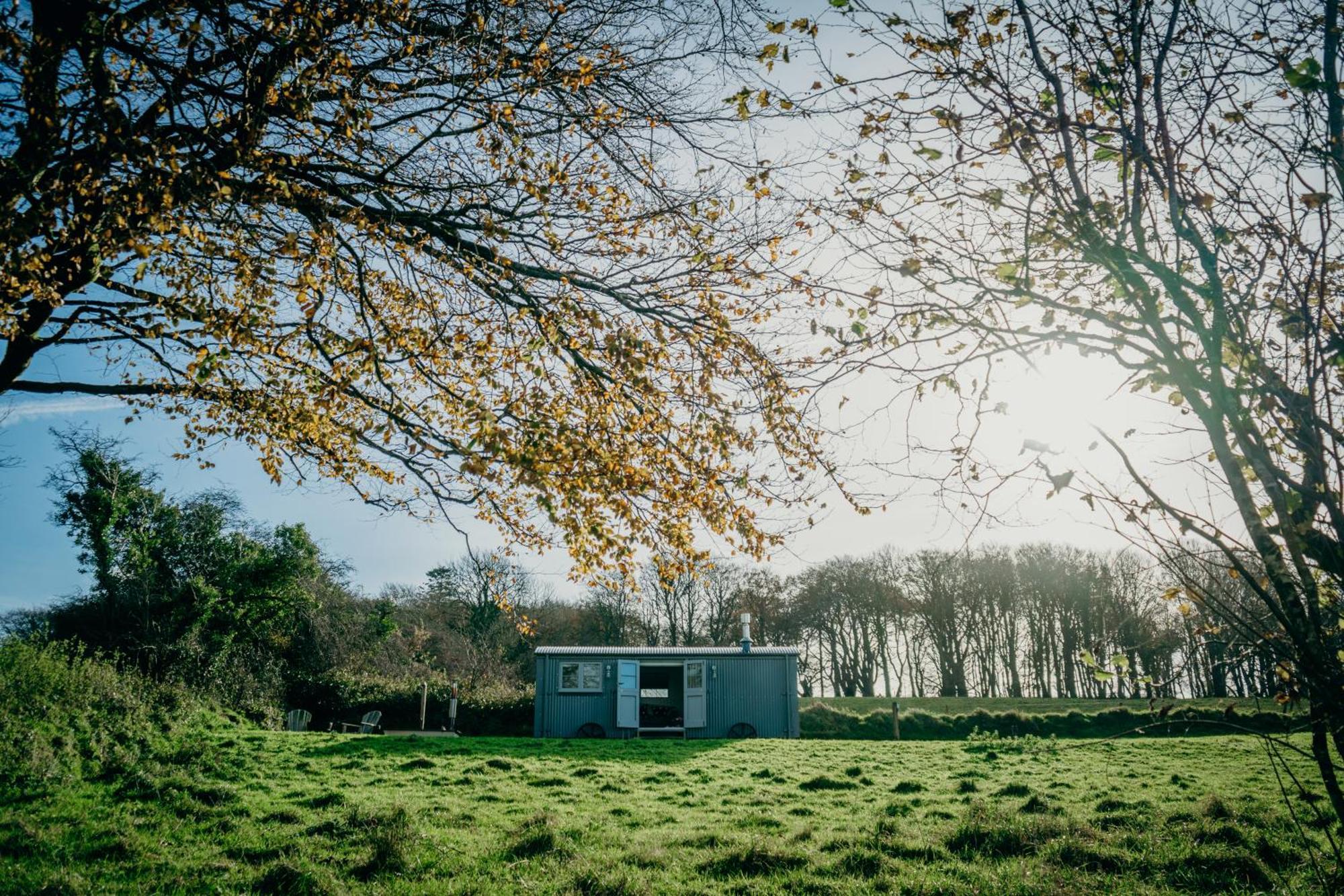 Milton Abbot Blatchford Briar - Award Winning Private Shephards Huts With Their Own Secluded Hot Tubs מראה חיצוני תמונה